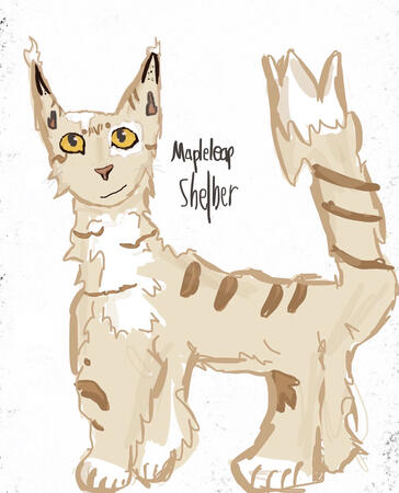 by Mapleleap