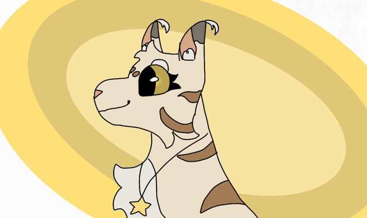 by Springpaw